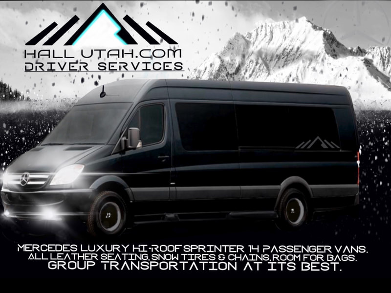 Book 14 Passenger Van For Airport Transportation. Great For Weddings,Guided Tours Bachelor & Bachelorette Parties Too. 