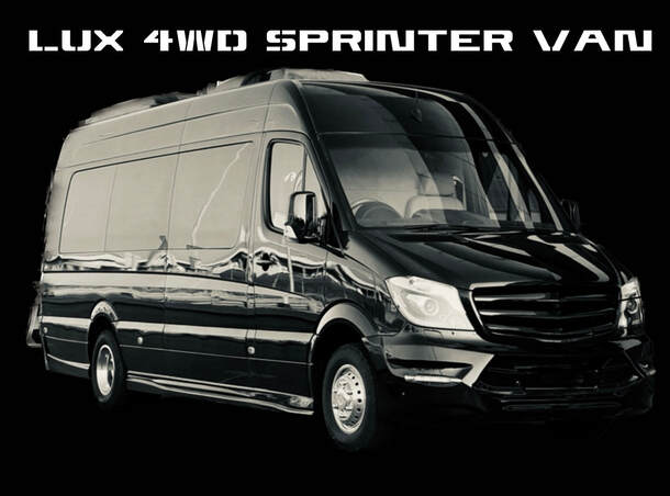 Fleet: 14 Passenger Mercedes Sprinter Luxury Van